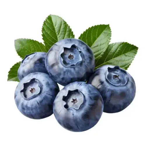 Blueberry